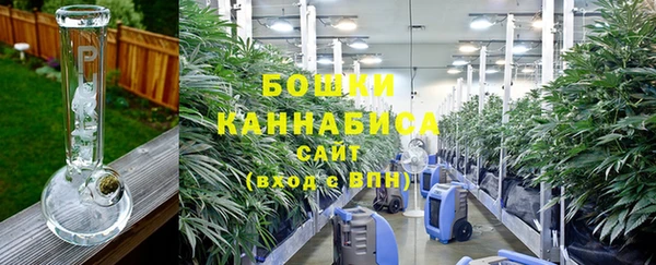 PSILOCYBIN Алзамай