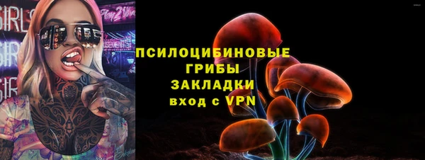 не бодяженный Алексин