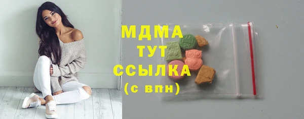 PSILOCYBIN Алзамай