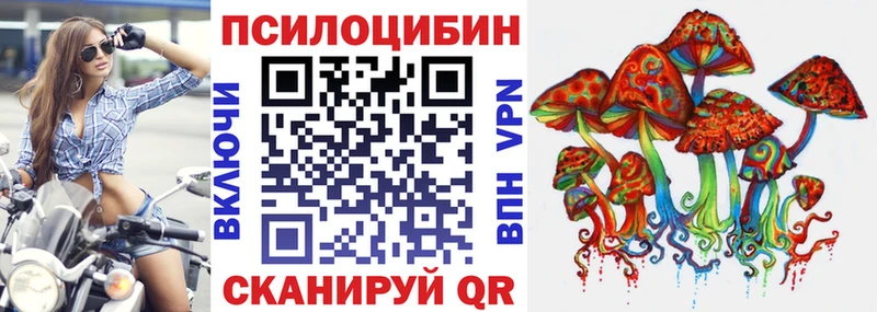 Галлюциногенные грибы Psilocybine cubensis  Сосновоборск 