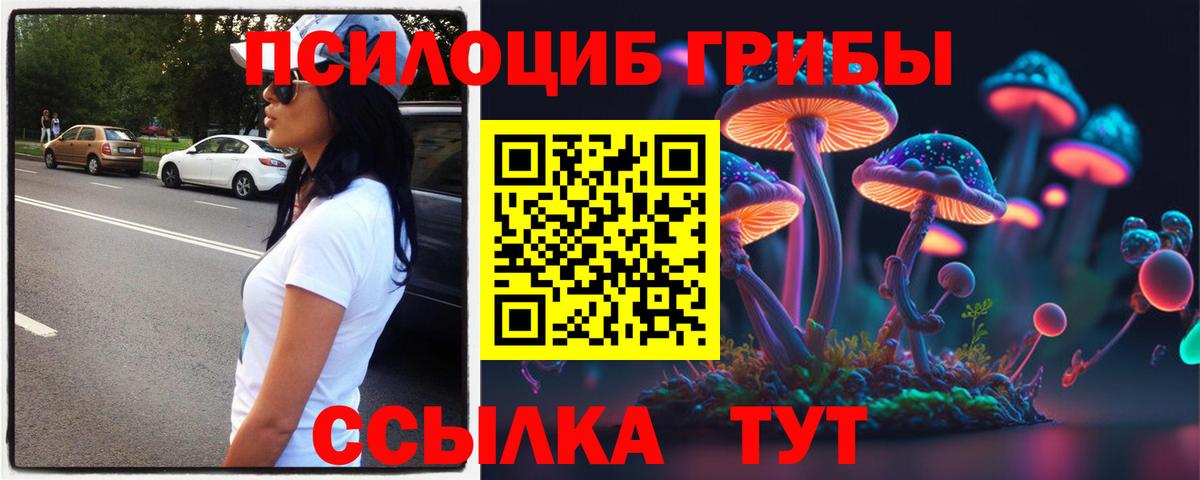 Псилоцибиновые грибы GOLDEN TEACHER Сосновоборск