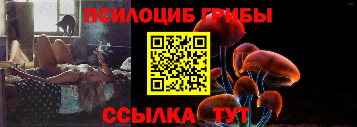 Сосновоборск  Псилоцибиновые грибы мицелий  Галлюциногенные грибы мицелий  Вход с VPN 